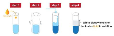ethanol test for lipids|Food Tests .